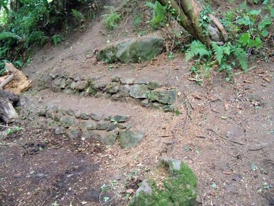 Terracing cleared by the Groundwork South West team
