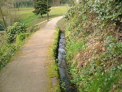 Leat known as The Glen Water in The Lower Glen