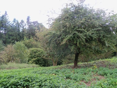 Land for sale from Glenview