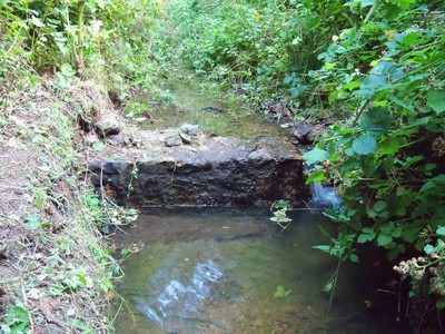 A Rediscovered Waterfall