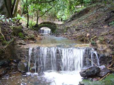 Rustic Bridge and Waterfalls