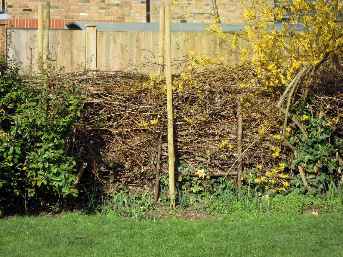 Dead Hedge Reinforced 2015