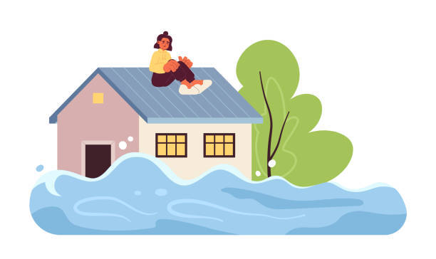 Houseflood