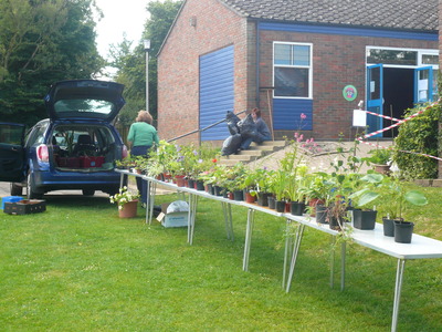 We had lots of plants to sell