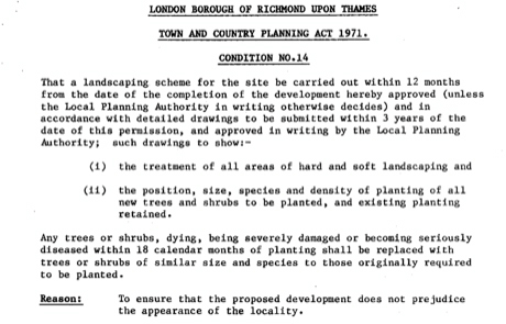 History of the trees