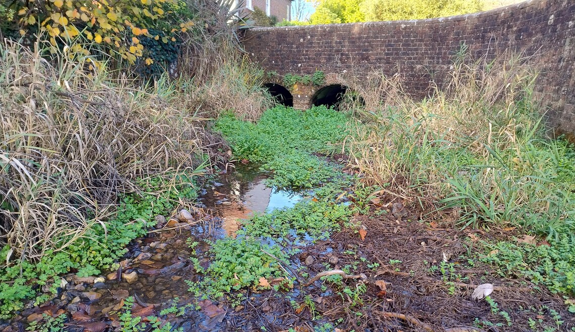 River overgrown and reduced to a trickle, bridge in background