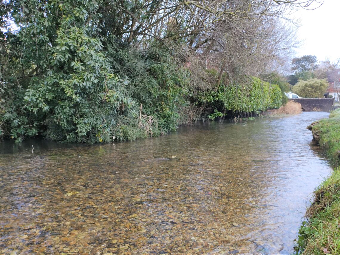 Mill stream after winter rain