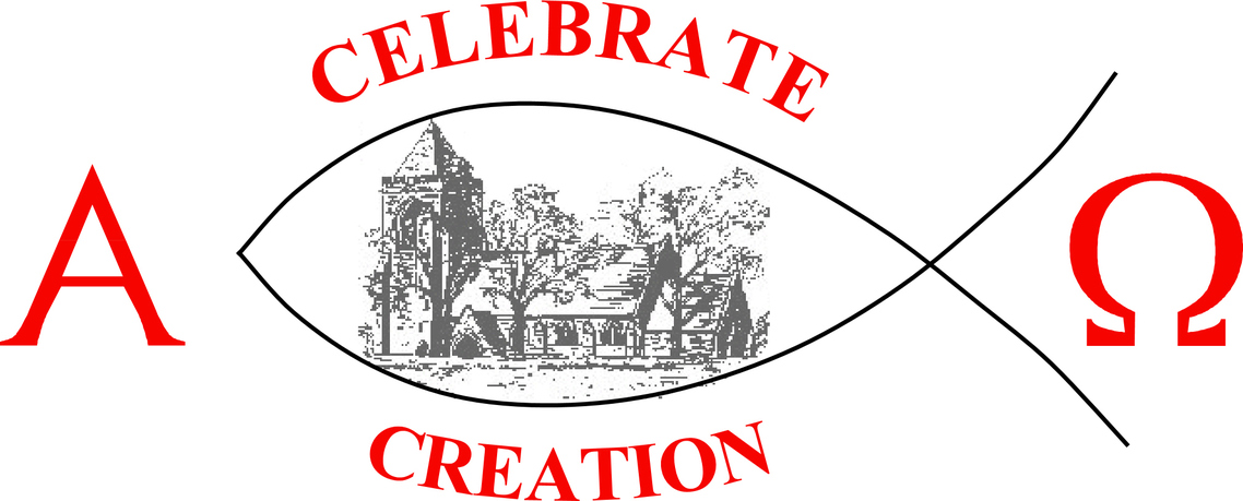 celebrate creation