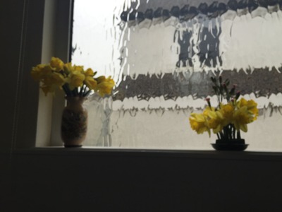 Daffodils brightening up the church