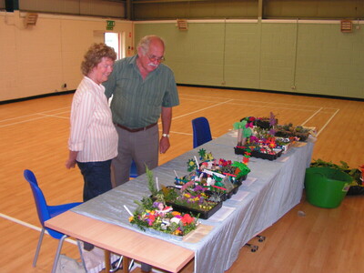 2011 Miniature Garden Competition