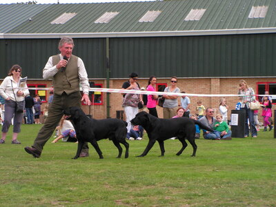 2011 Les with the Working Dogs Demonstration