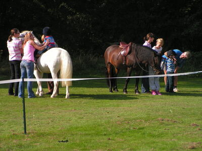 2008 Pony Rides