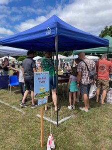The busy Pin Ball Table
