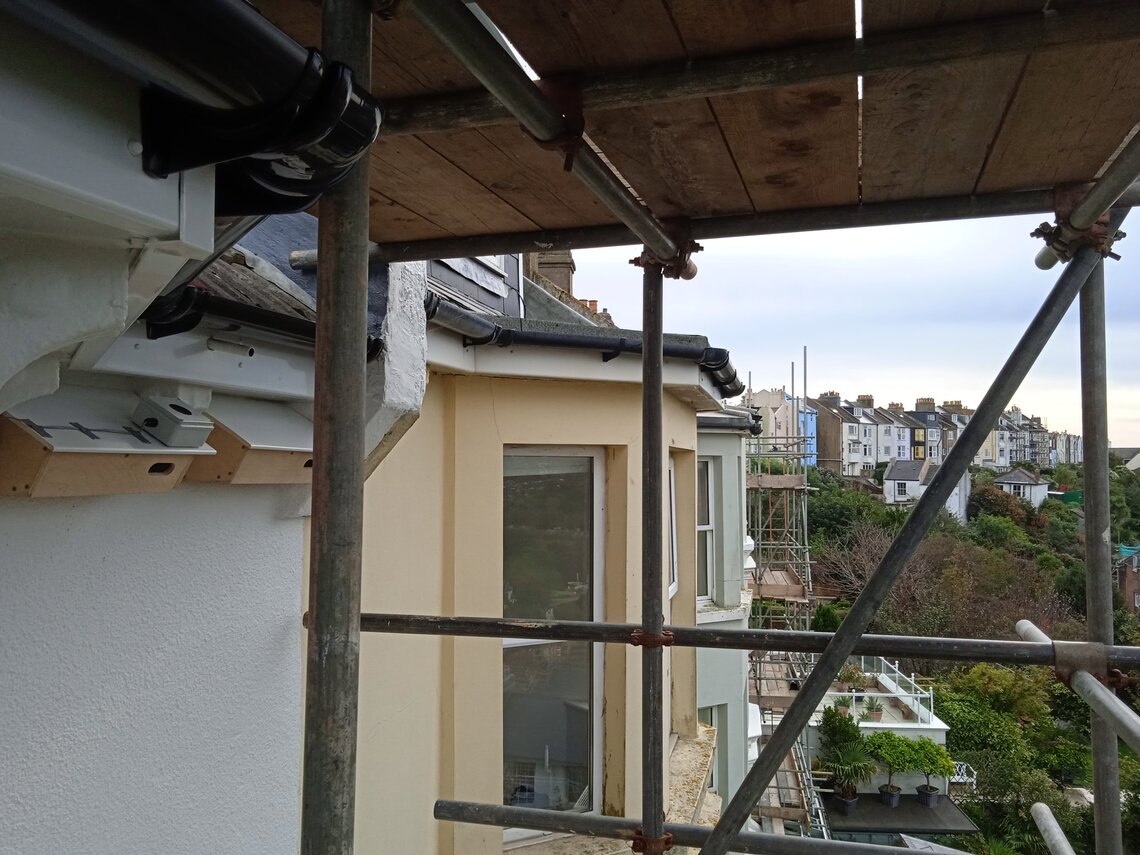 17.10.21 Hastings West Hill close up of 2 boxes and caller