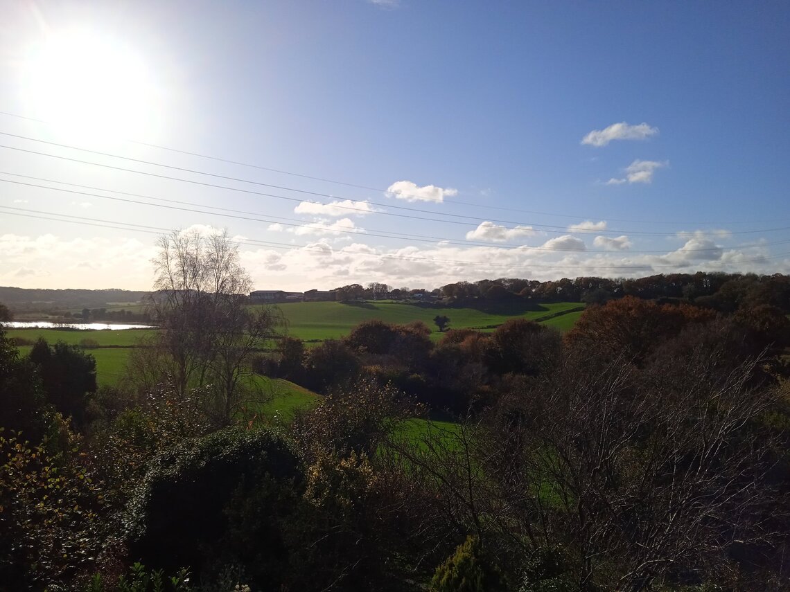 21.11.21 Crowhurst view from front of house & boxes