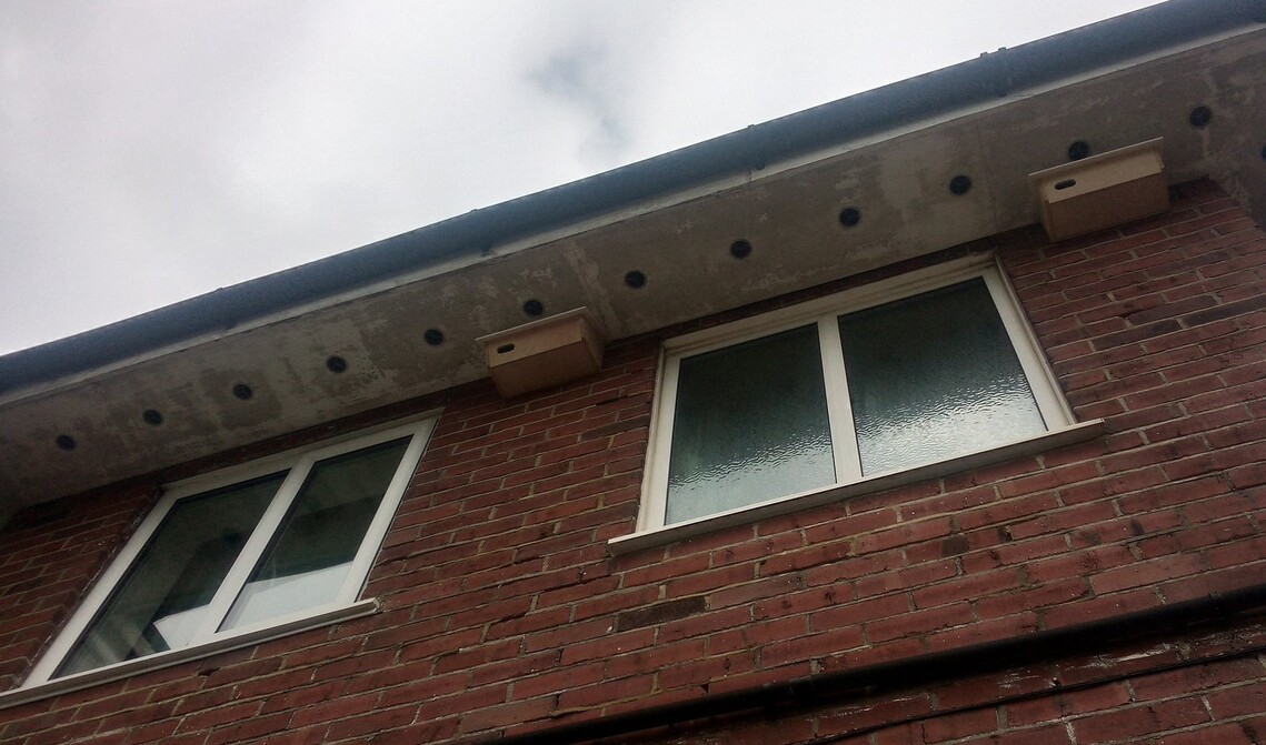 3.4.21 St.Leonards 2 box inst.