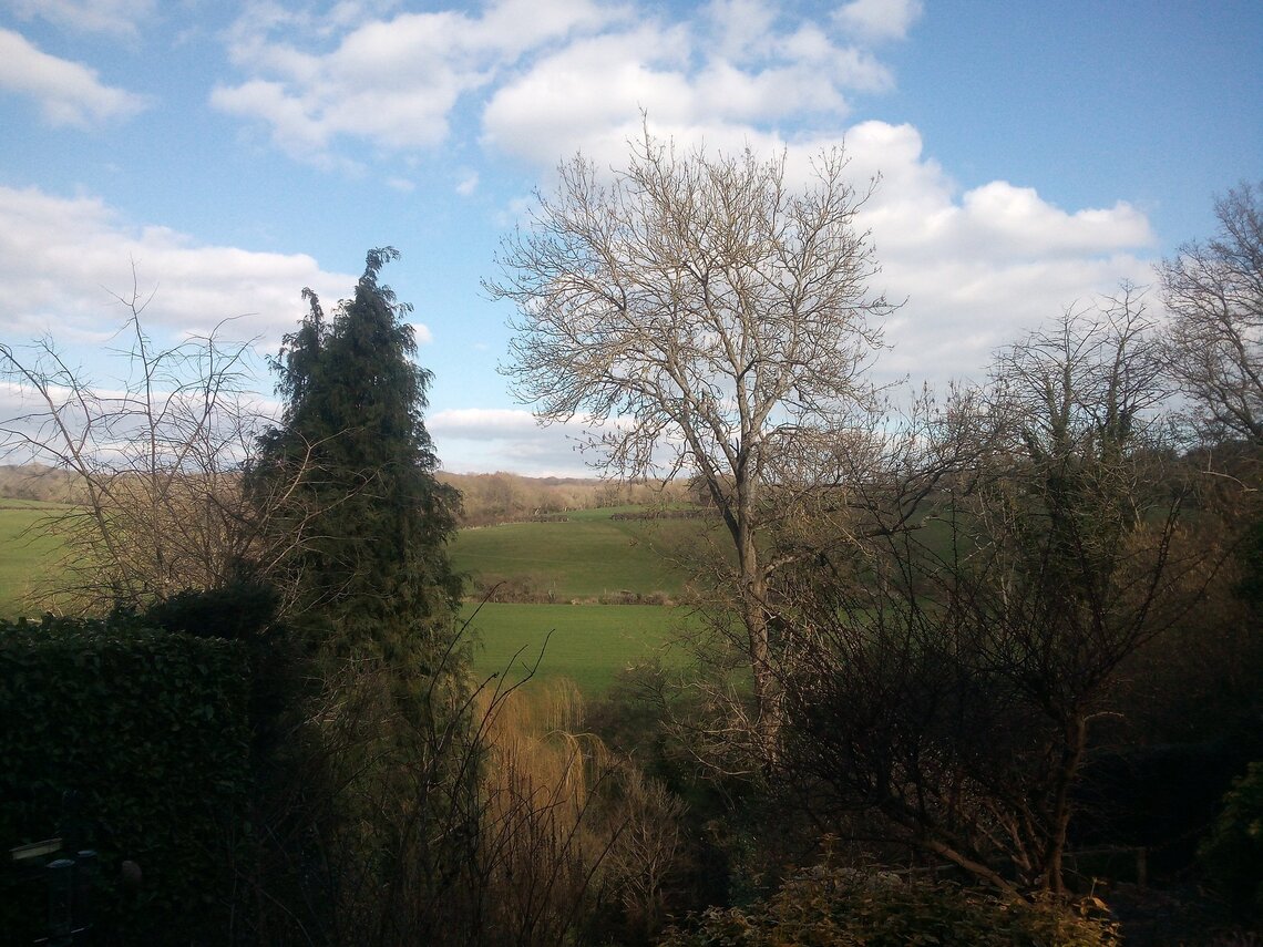 7.3.21 - Crowhurst 3