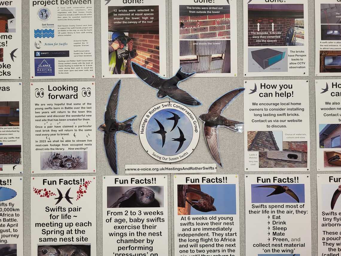 Library swift display close-up