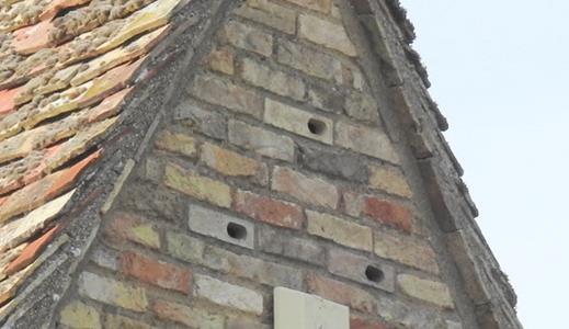 swift bricks in gable end