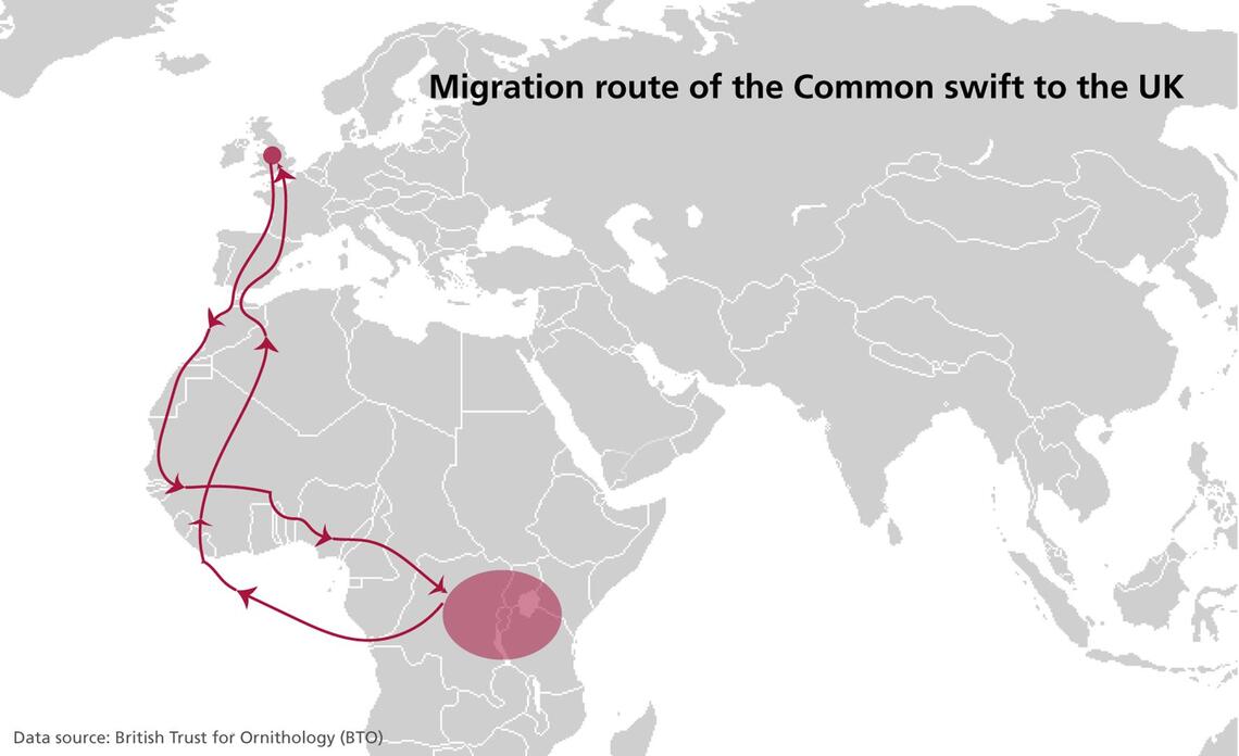 swift migration map