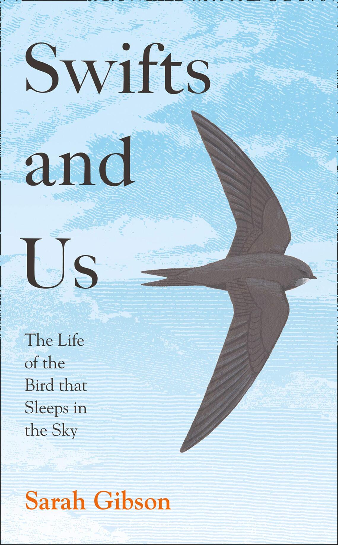 Swifts and Us book