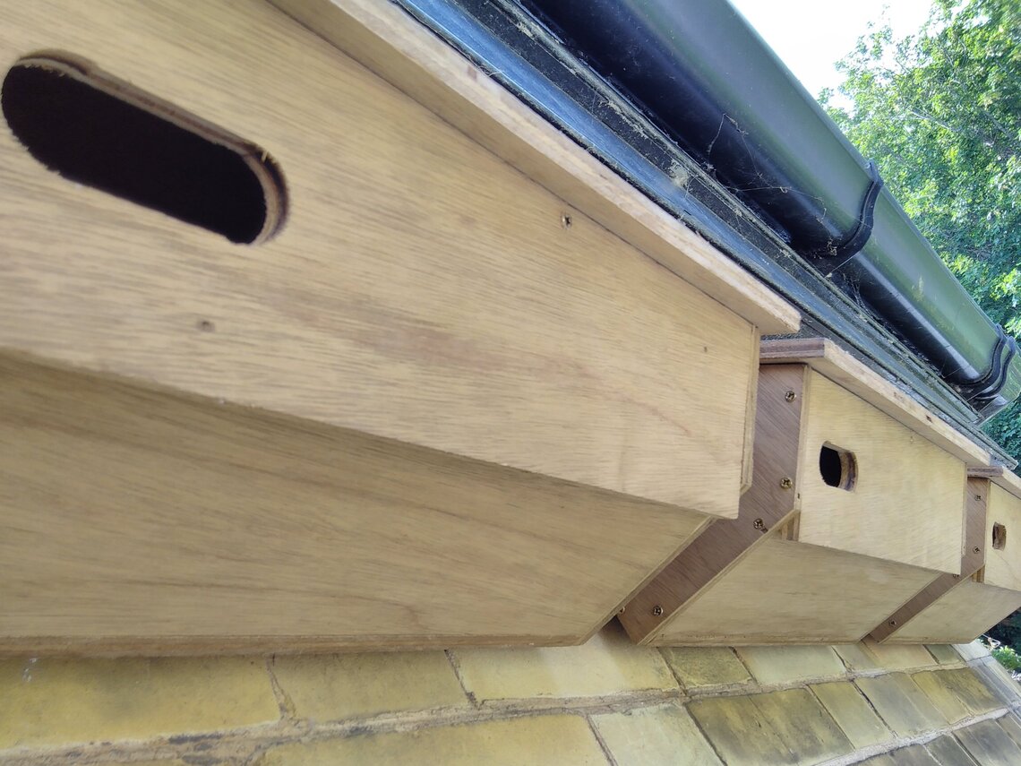 Add a swift nest box to your house - Hastings and Rother Swift ...