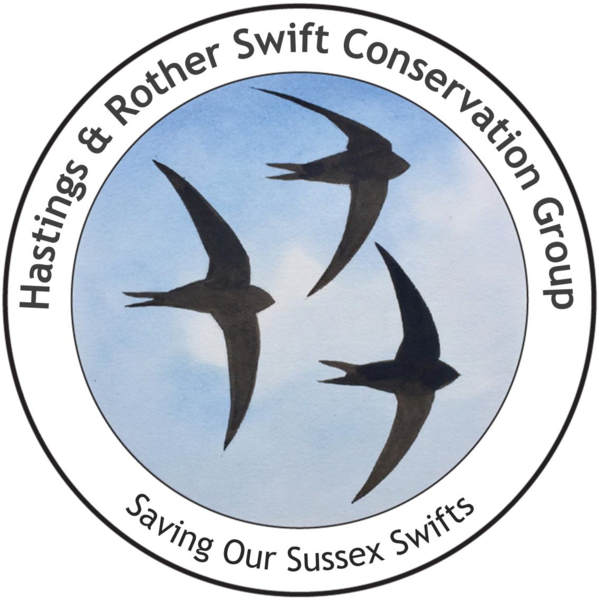 Battle's Special Swift Project - Hastings And Rother Swift Conservation ...