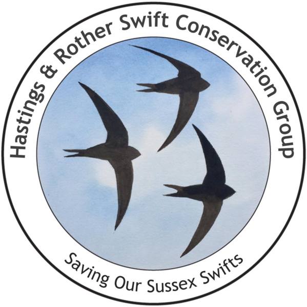 Hastings and Rother Swift Conservation Group logo