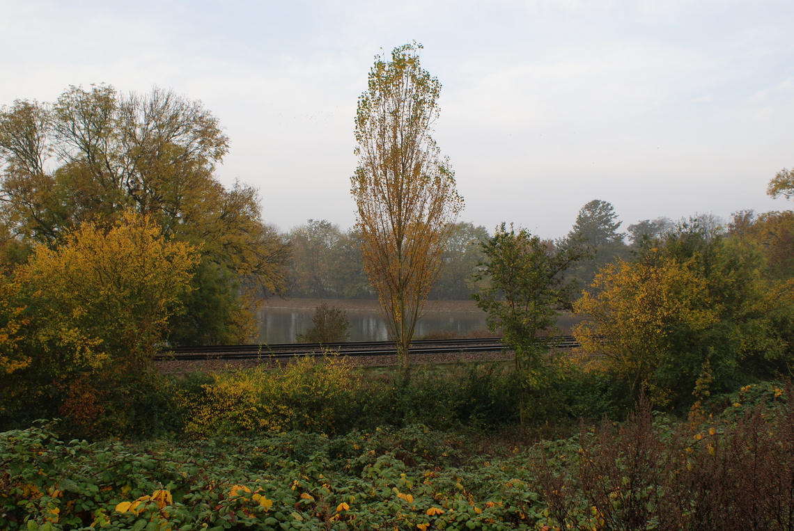 View across reservoir
