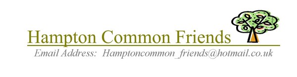 Hampton Common Friends logo