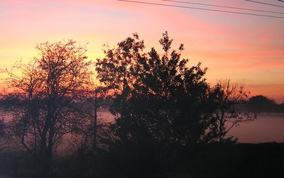  Misty Winter Sunset Over the Common