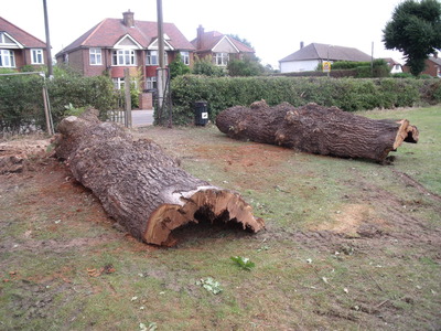 A new feature appears on the Common