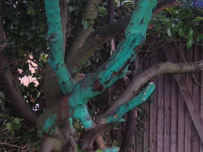 A bit of added greenery