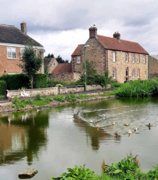 pond