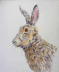 Hare 2