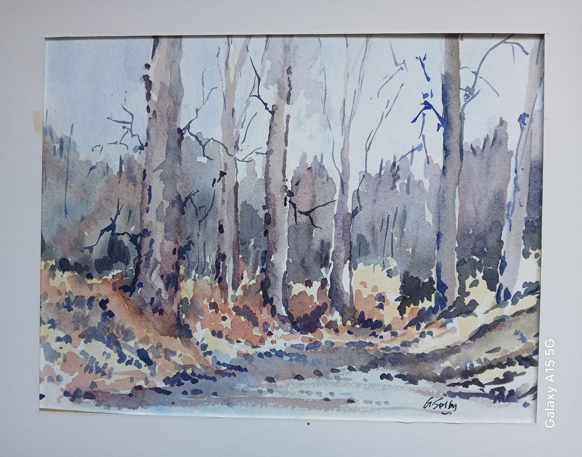 Winter Trees, Watercolour Mounted Unframed, W37cm x H29cm, £45