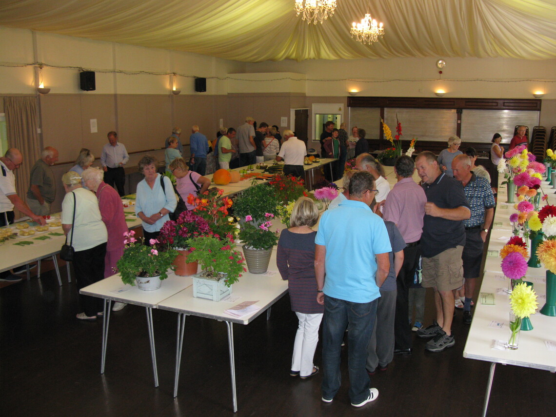 2014 Viewing .. have I won?