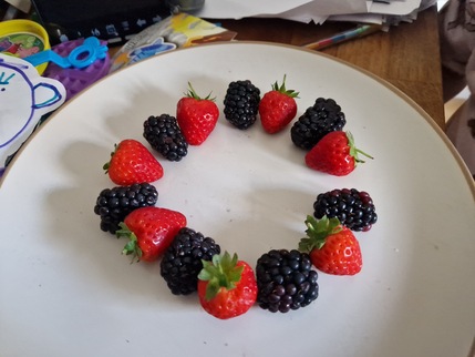 Group of berries in a circle