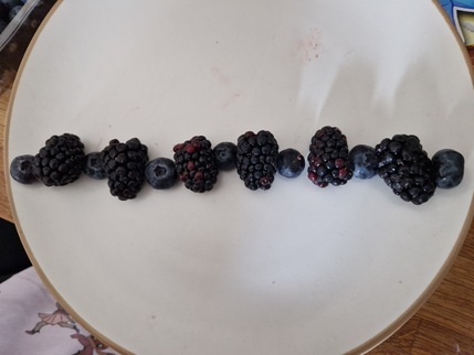Group of blueberries and blackberries