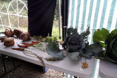 2013 vegetable competition