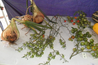 2013 vegetable competition