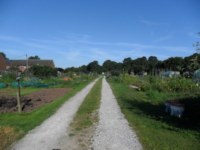 Road through Allotment 