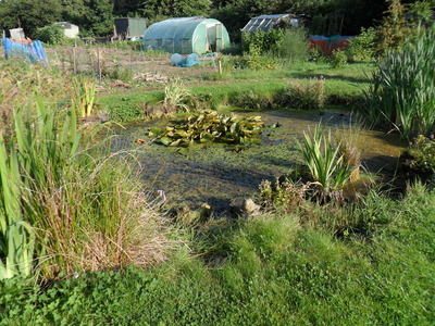 Environmental Garden