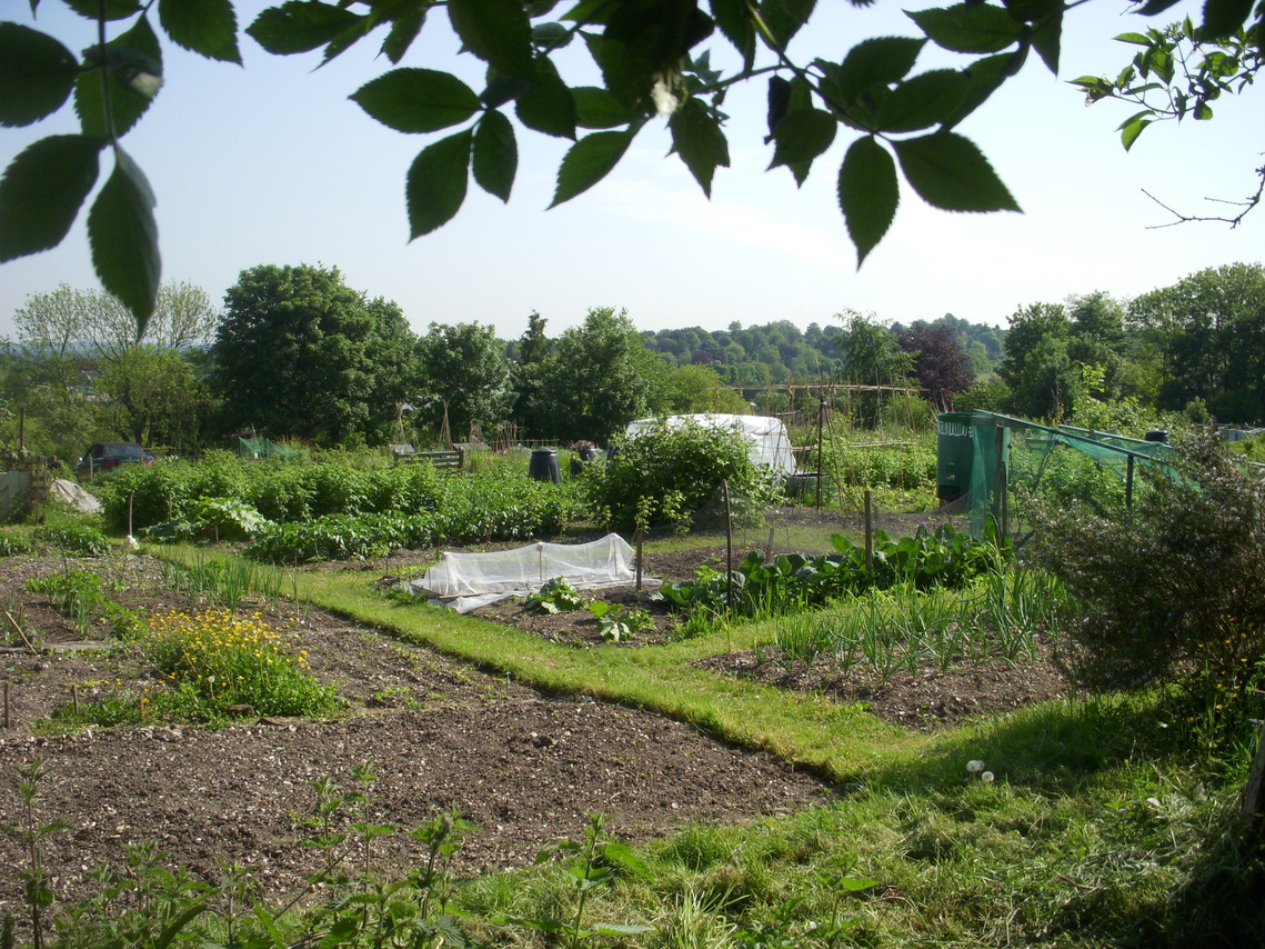 Allotments