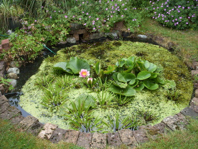 1 HTAG Open Gardens 2015