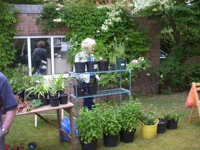 HTAG gardens 2015 023