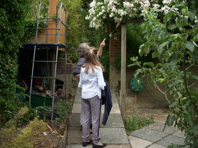 HTAG gardens 2015 020