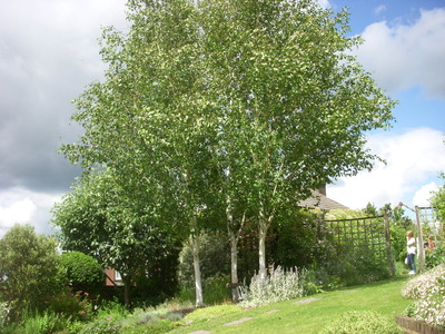 3 Gardens Open Day June 2012