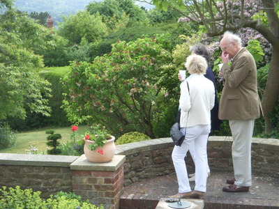 views from the terrace