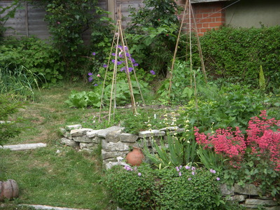 Veg garden